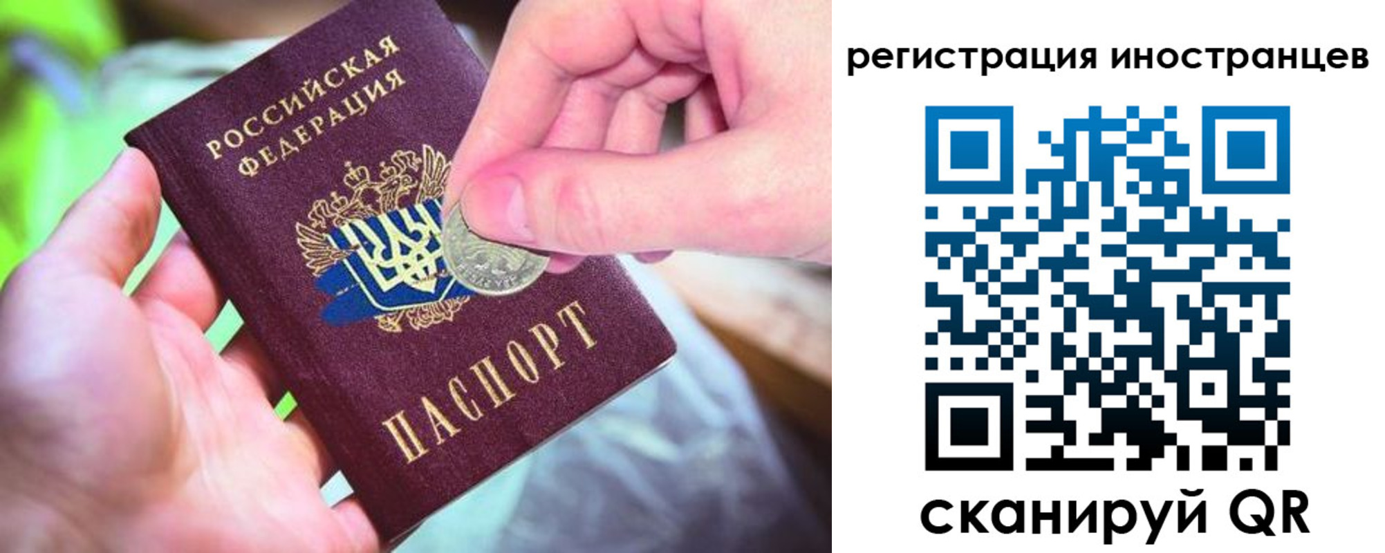прописка для работы в Вязьме
